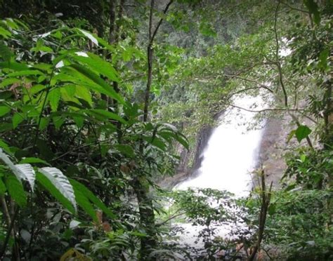 Soochipara Waterfalls, Wayanad | MY WAYANAD