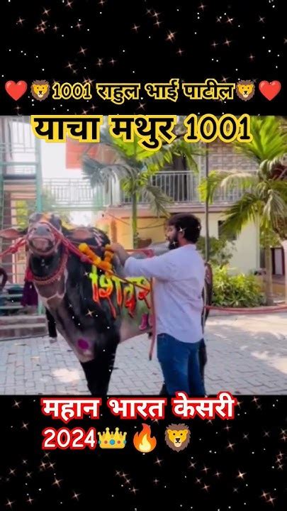 ️🦁1001 ️🦁राहुल भाई पाटील🔥मथुर1001🦁👑🔥maharashtrakingmathur1001