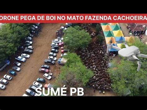 Drone Pega De Boi No Mato Fazenda Cachoeira Sum Pb Org Frutuoso