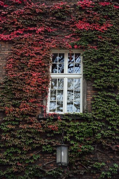 Old Brick Buildings Downtown Small Town Vintage Windows Antique Stock