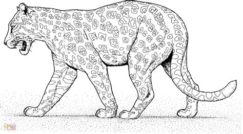 14 Unique De Jaguar Coloriage Photos Coloriage