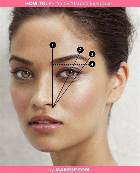 How To Measure Your Eyebrows Eyebrowshaper