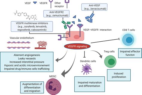 Evolution Of Systemic Treatment For Advanced Hepatocellular Carcinoma