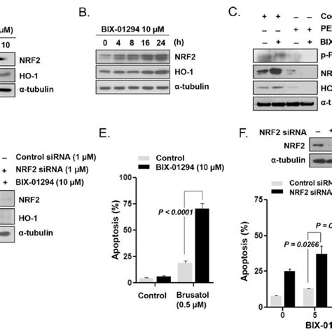 Prosurvival Perknrf2ho 1 Activation In Kg1 Lsc Like Cells Upon G9a