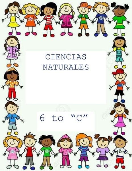 Propuesta Didáctica De Ciencias Naturales Sexto Autoguardado Pdf