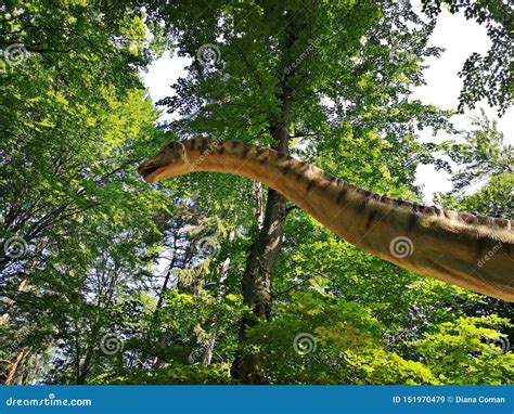 Cabeça Do Dinossauro E Pescoço Longo Imagem de Stock Editorial Imagem