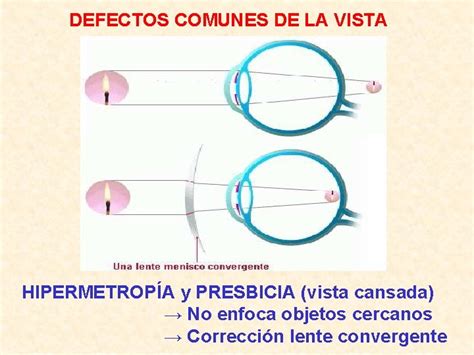 Ptica Geomtrica De Qu Trata La Ptica Geomtrica