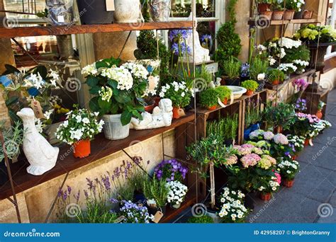 Outdoor Flower Shop Stock Image Image Of Pots Containers 42958207