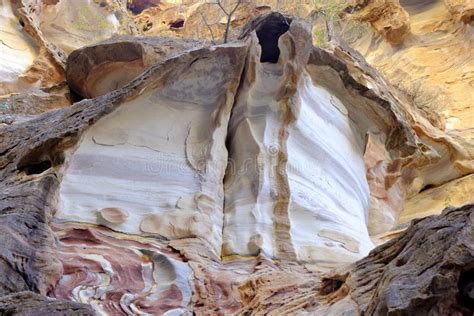 Rocas De La Piedra Arenisca Del Color En El Desierto De Jordania Foto