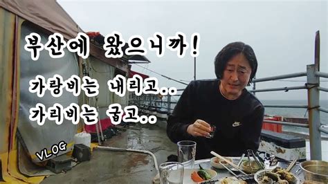 부산맛집 2편 남포동영도에서 유명한 맛집들라떼는 말이야 Youtube