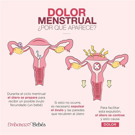 Todas Las Que Hemos Sufrido Dolor Menstrual Nos Hemos Preguntado Por