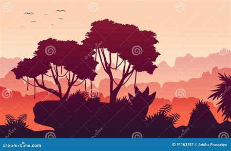 Bog Morning Jungle Rainforest Nature Landscape Silhouette Dense