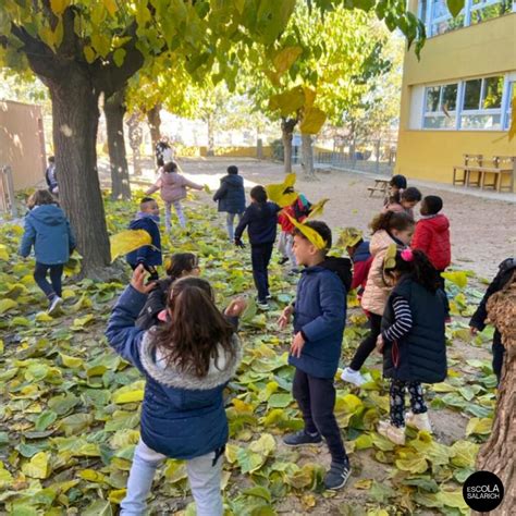 POEMA DE TARDOR Escola Doctor Joaquim Salarich