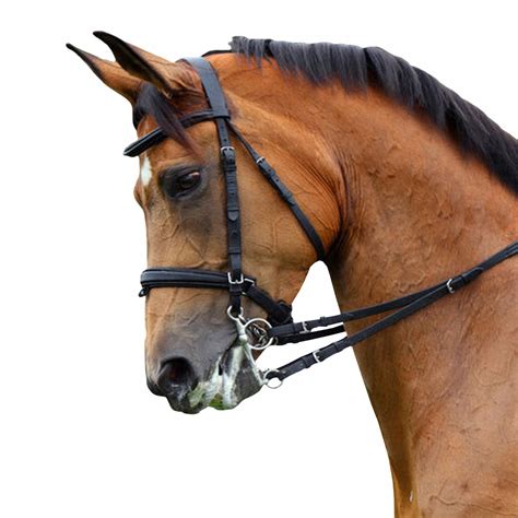 Black Padded Bridle – Saddles World