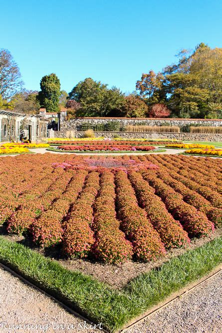 Biltmore Estate Gardens in Fall