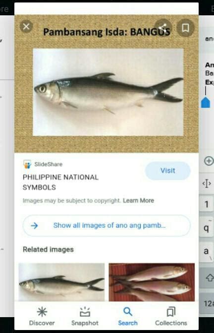 ano ang pambansang isda brainlyph