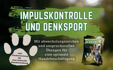 Impulskontrolle Und Denksport F R Hunde Mit Abwechslungsreichen Und