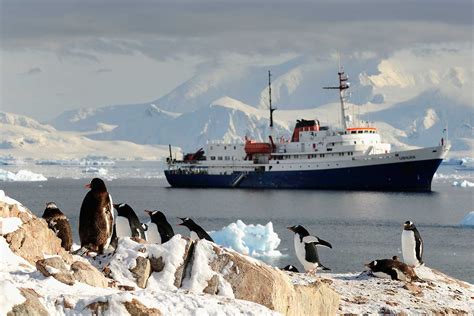 Classic Antarctica Cruise: MV Ushuaia :: Expeditions Online