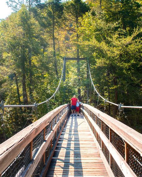 Tallulah Gorge Waterfall Hike & Suspension Bridge • Georgia