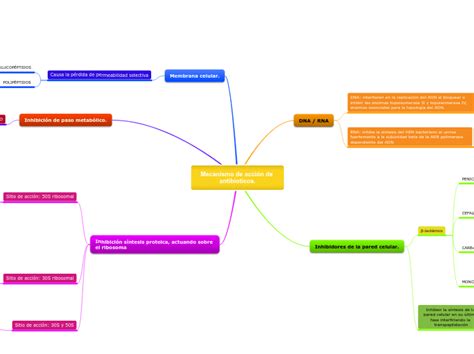 Mecanismo De Acci N De Antibioticos Mind Map