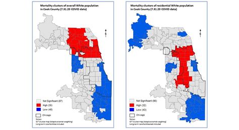 Visualizing Covid 19s Impact By Racial Demographics School Of Public