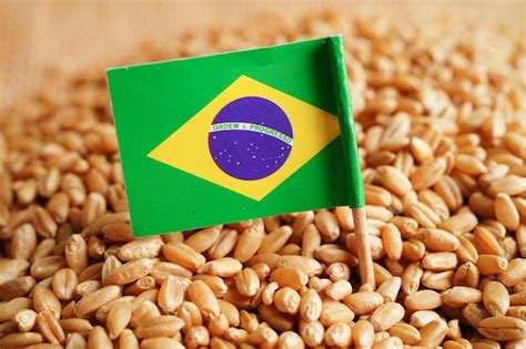 Brasil Sobre El Concepto De Exportaci N Y Econom A Del Comercio De