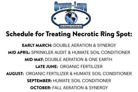 Necrotic Ring Spot Treatment in Boulder and Fort Collins