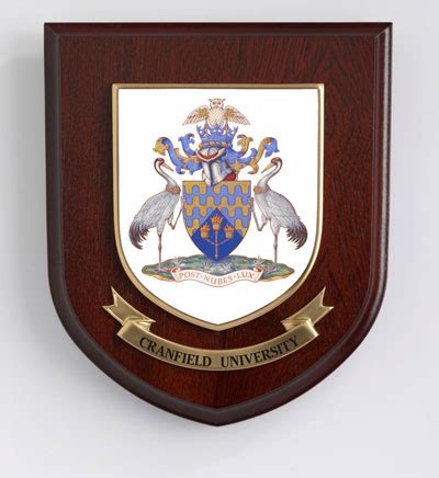 cranfield university shield awards shields plaques  clubs