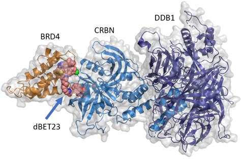 Targeted Protein Degradation Wuxi Biology