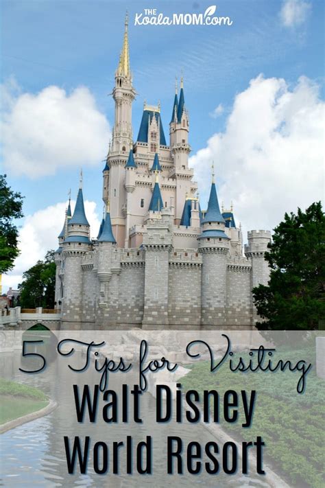 5 Tips For Visiting Walt Disney World Resort • The Koala Mom