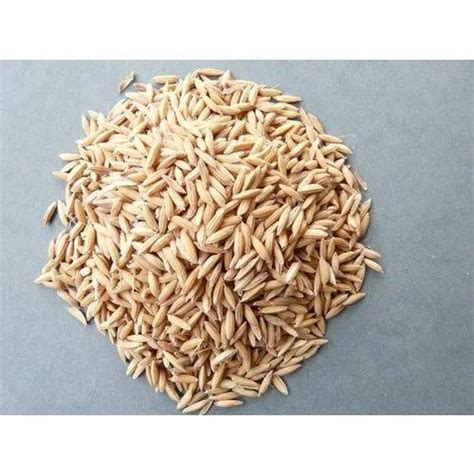 Samar Agriate Organic Paddy Seeds Packaging Size 10gm 1 Kg