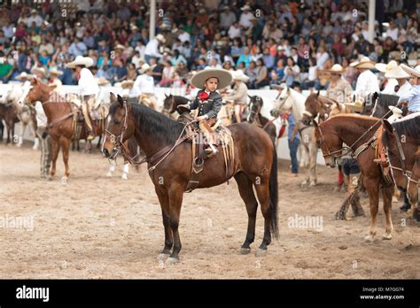 Charreada High Resolution Stock Photography And Images Alamy