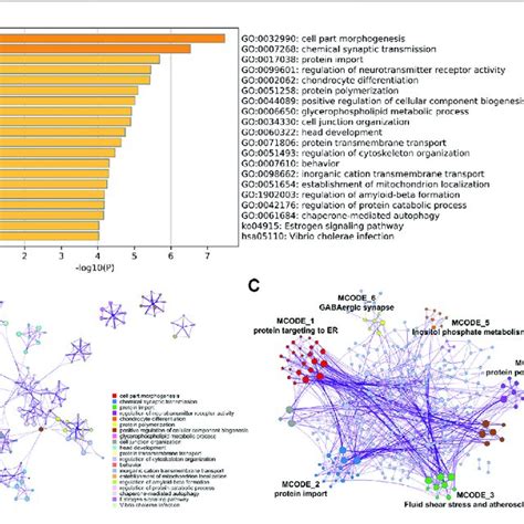 Gene Functional Enrichment Analysis GO Annotation And KEGG Pathway