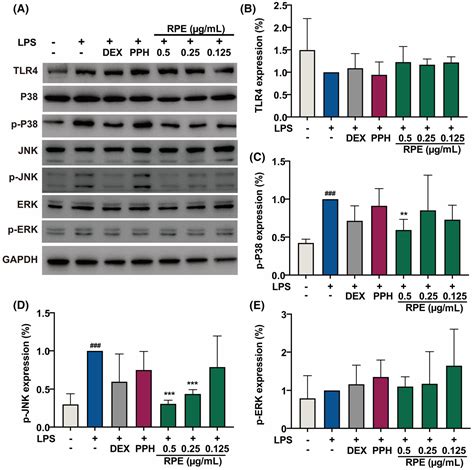 Rhizoma Paridis Saponins Attenuate Gram‐negative Bacteria‐induced