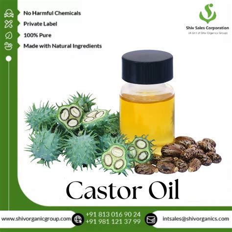 Castor Carrier Oil 99 Pure At Rs 140 Kg In New Delhi Id 2854044103712