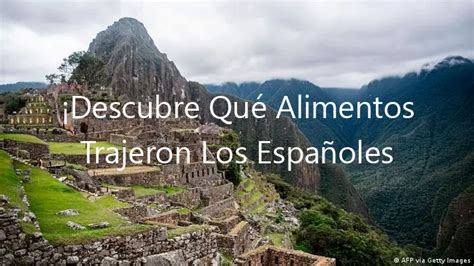 Descubre Qué Alimentos Trajeron Los Españoles Al Perú Diciembre