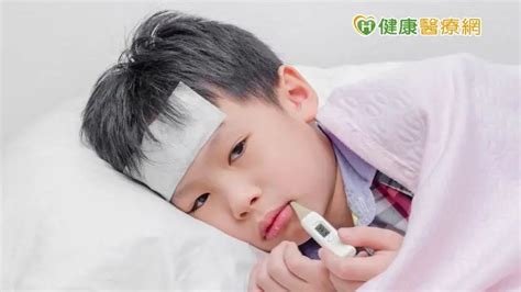 幼童難倖免！ 「人類間質肺炎病毒」與rsv症狀混淆難揪出 健康醫療網