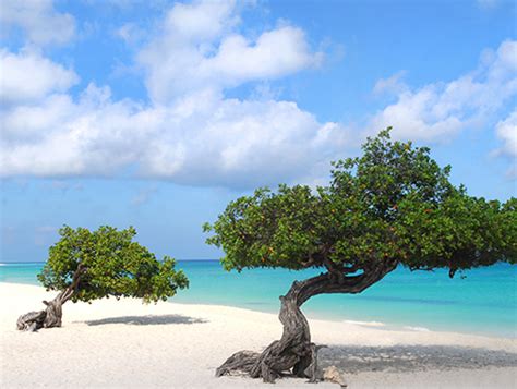 Costa Linda Beach Resort in Aruba