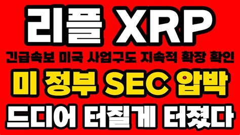 리플 Xrp 긴급속보 미국 사업구도 지속적 확장 확인 미국 정부 Sec 압박 드디어 터질게 터졌다 Youtube