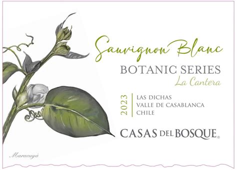 Casas Del Bosque La Cantera Sauvignon Blanc 2023 Southern Starz Inc