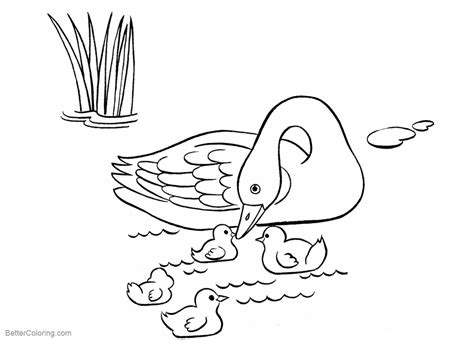 Pond Coloring Pages Line Drawing Free Printable Coloring Pages