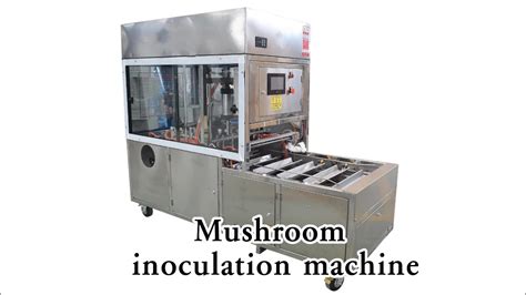 Made In China Fungus Spawn Inoculation Machinery Mushroom Inoculation