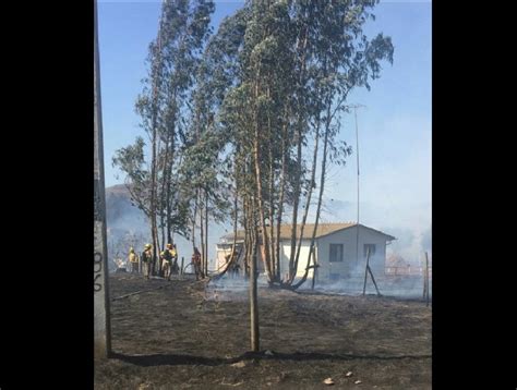 Cartagena incendio forestal en Cruce Leyda consumió cerca de cinco