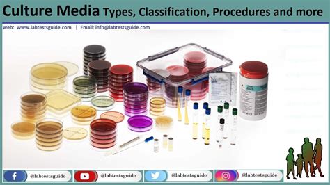 Understanding Culture Media Types Composition And 54 OFF