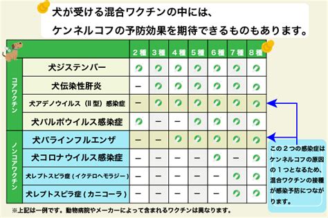 【獣医監修】犬も風邪をひくの？症状と原因、予防法、受診の目安を徹底解説！│楽天保険の総合窓口