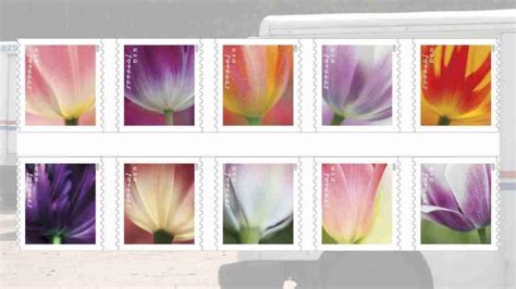 tulips blossom    stamps postal times