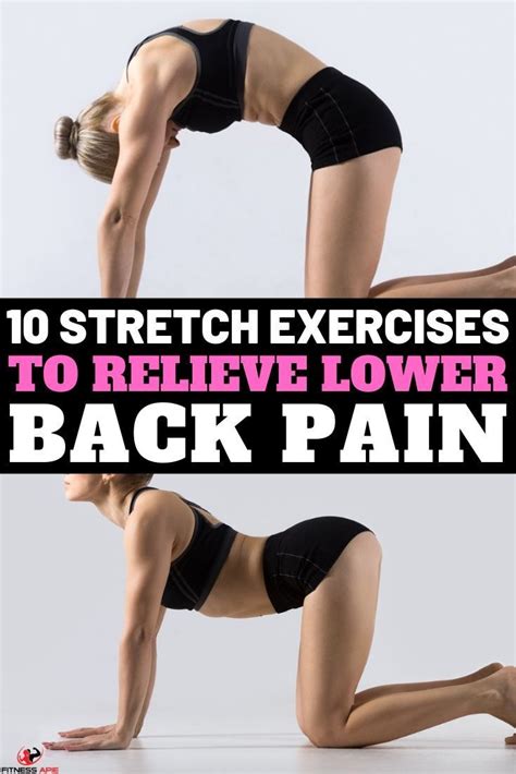 10 stretch exercises that will help you relieve lower back pain – Artofit