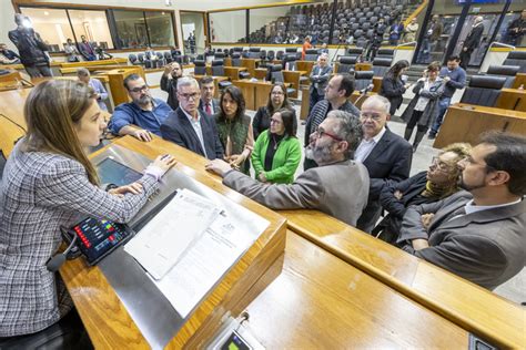 Cpi Da Educação Elege Relator E Decide Por Reuniões Conjuntas Para