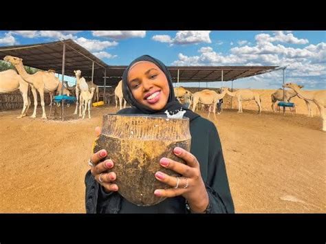 I Tried Camel Milk for the First Time | Baidoa City Vlog - P2 : r/Somalia