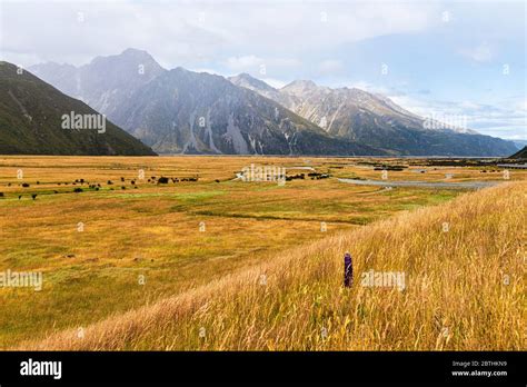 Mountains In The Aoraki Mount Cook National Park Canterbury New